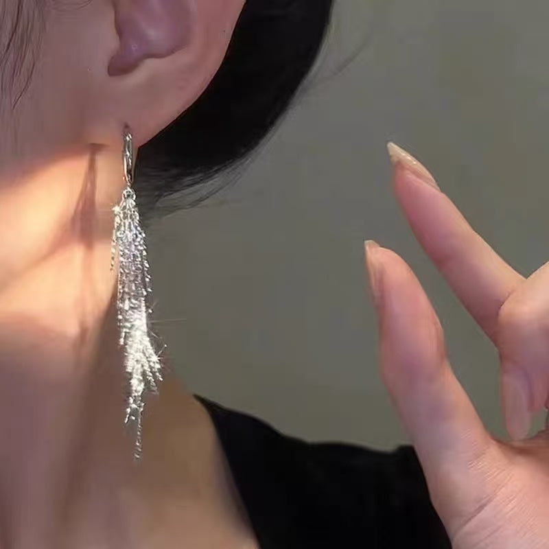 Stunning fashion Earrings with silver color