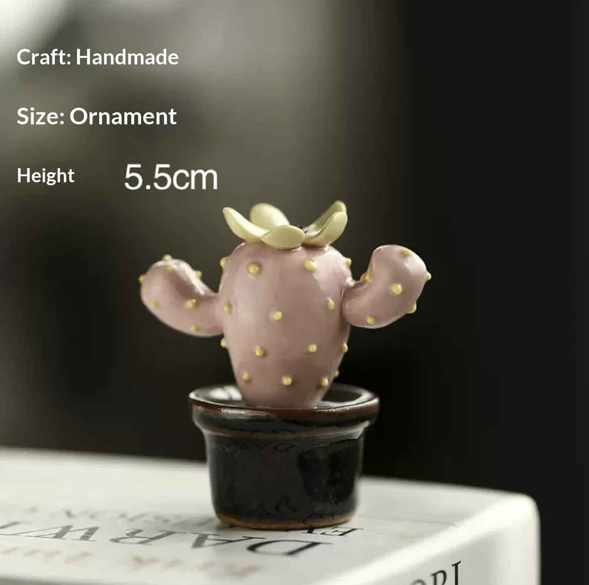 Handmade ceramic imitation succulent cactus potted plants, office computer desk decorations, creative car trinkets