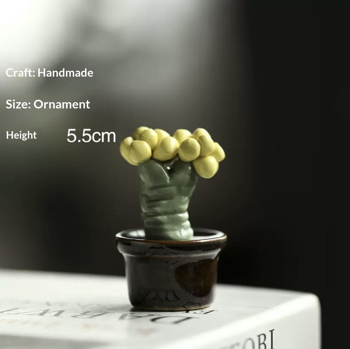 Handmade ceramic imitation succulent cactus potted plants, office computer desk decorations, creative car trinkets
